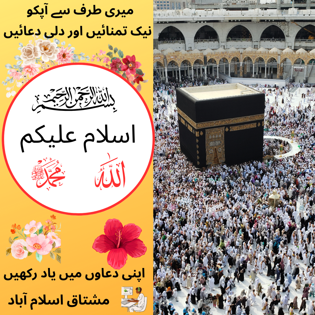 Projects c1 image for upload